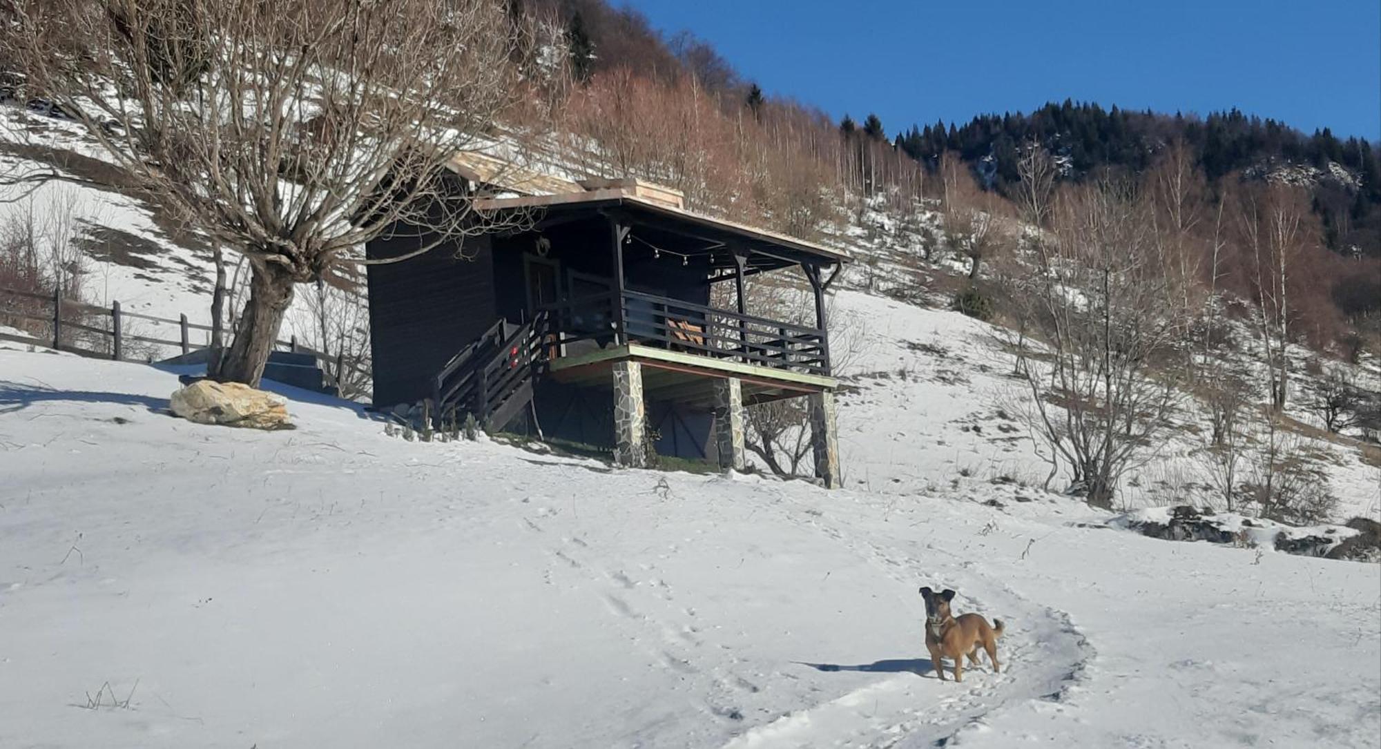 Magura Rustic Tiny House Villa Ngoại thất bức ảnh